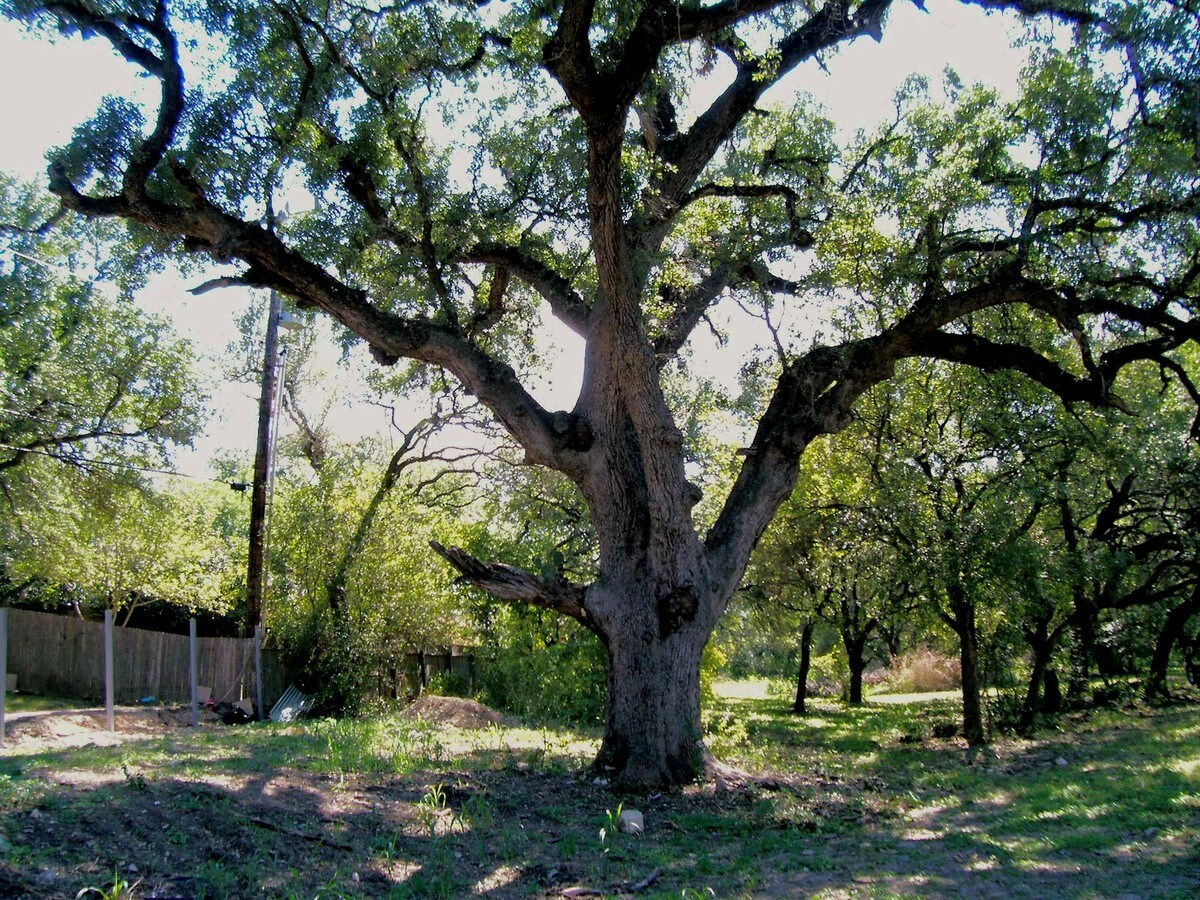 12231 Westcreek Oaks, San Antonio, TX 78253