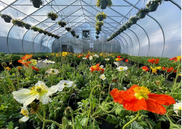 886 Route 25A, Miller Place, NY for sale - Building Photo - Image 1 of 1