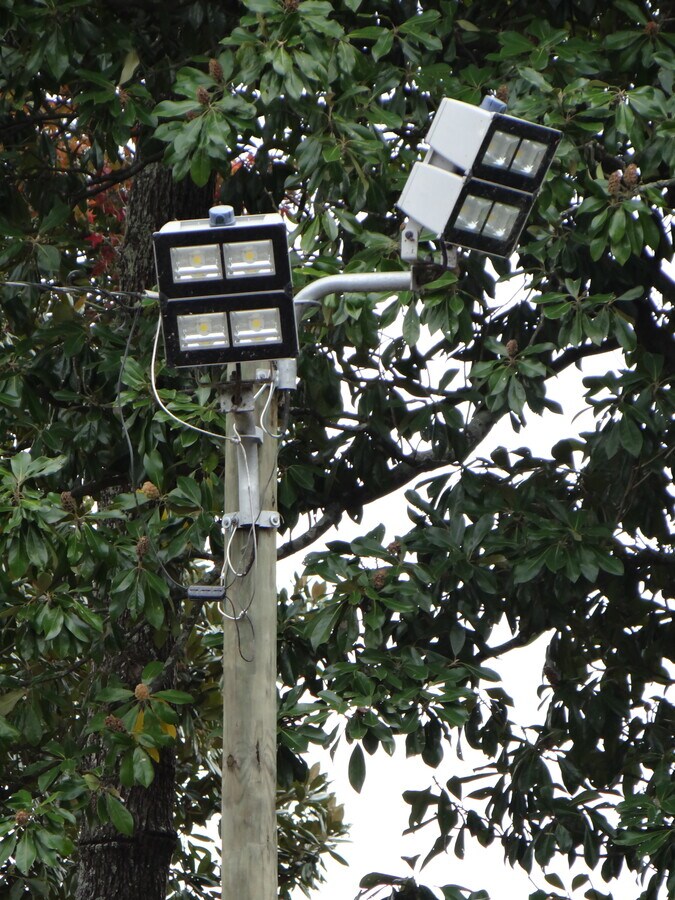 View Photo