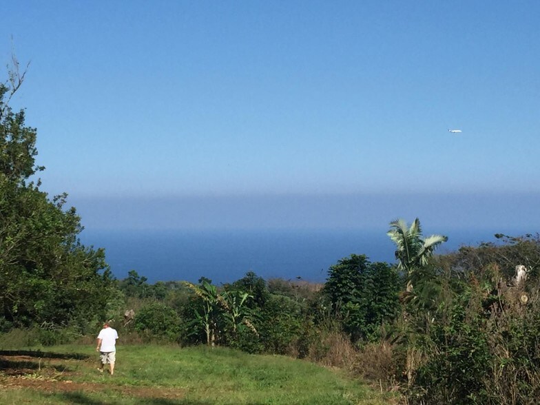 38 La Rd, Papaikou, HI 96781