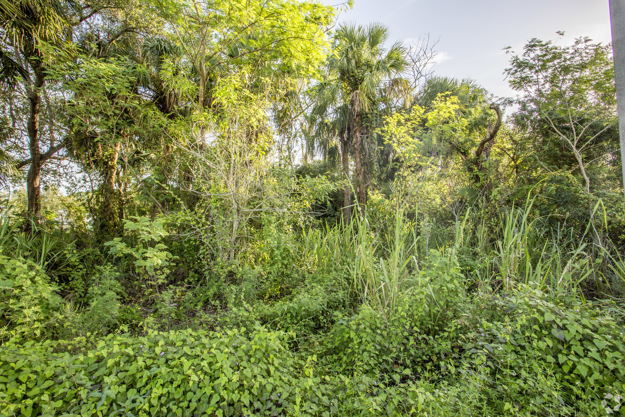 14250 N Cleveland Ave, North Fort Myers, FL for sale Primary Photo- Image 1 of 5