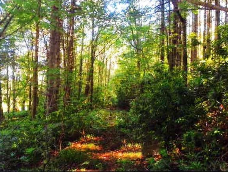 Nether Auchendrane, Ayr for sale Primary Photo- Image 1 of 1