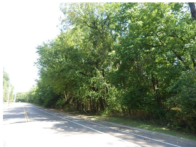 Hospital Rd. & Reed Rd, Starkville, MS for sale - Primary Photo - Image 1 of 1