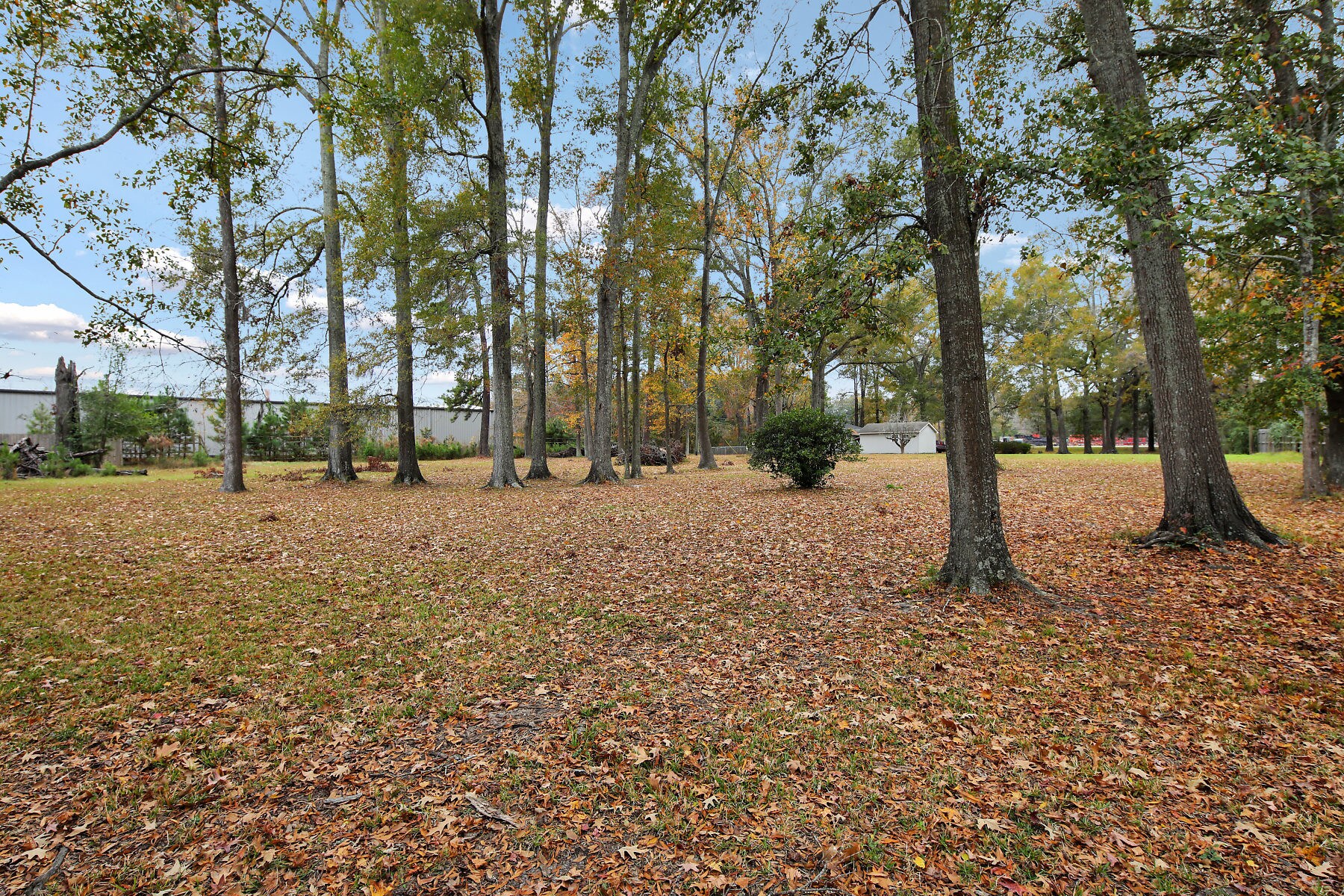 204 Dean Forest Rd, Savannah, GA for sale Primary Photo- Image 1 of 1