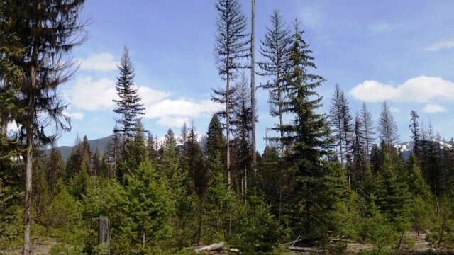 View Photo