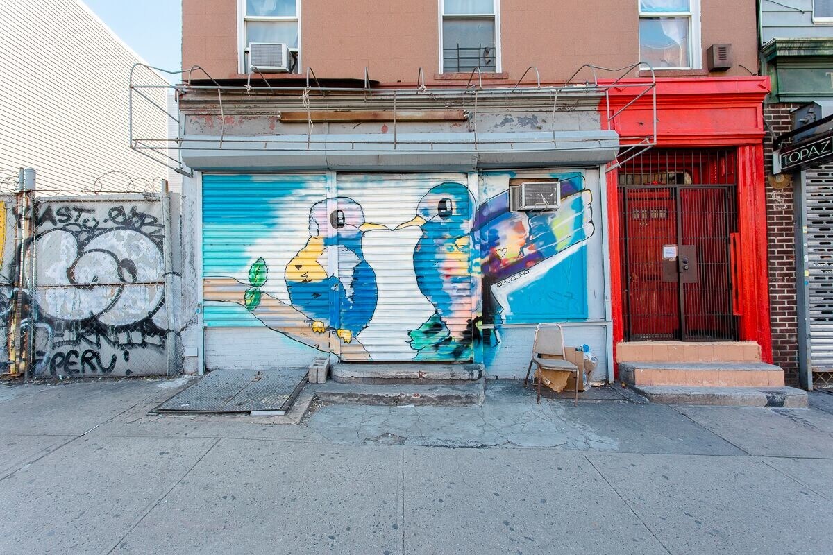 249 Bushwick Ave, Brooklyn, NY for sale Primary Photo- Image 1 of 1
