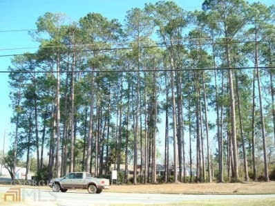 Hwy 301, Claxton, GA for sale - Primary Photo - Image 1 of 1