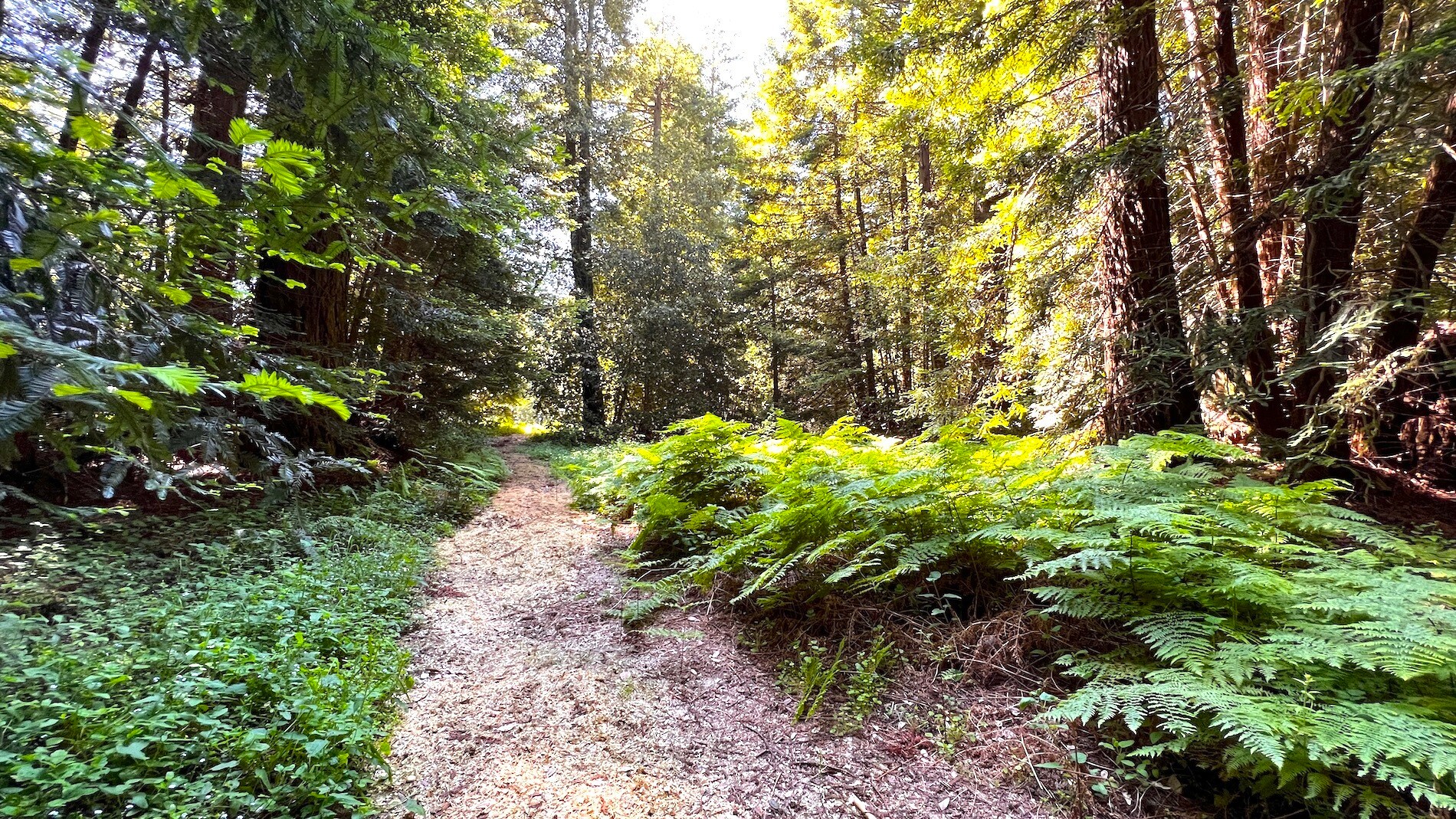 3675 Bonny Doon Rd, Santa Cruz, CA 95060 Bonny Doon Equestrian Park