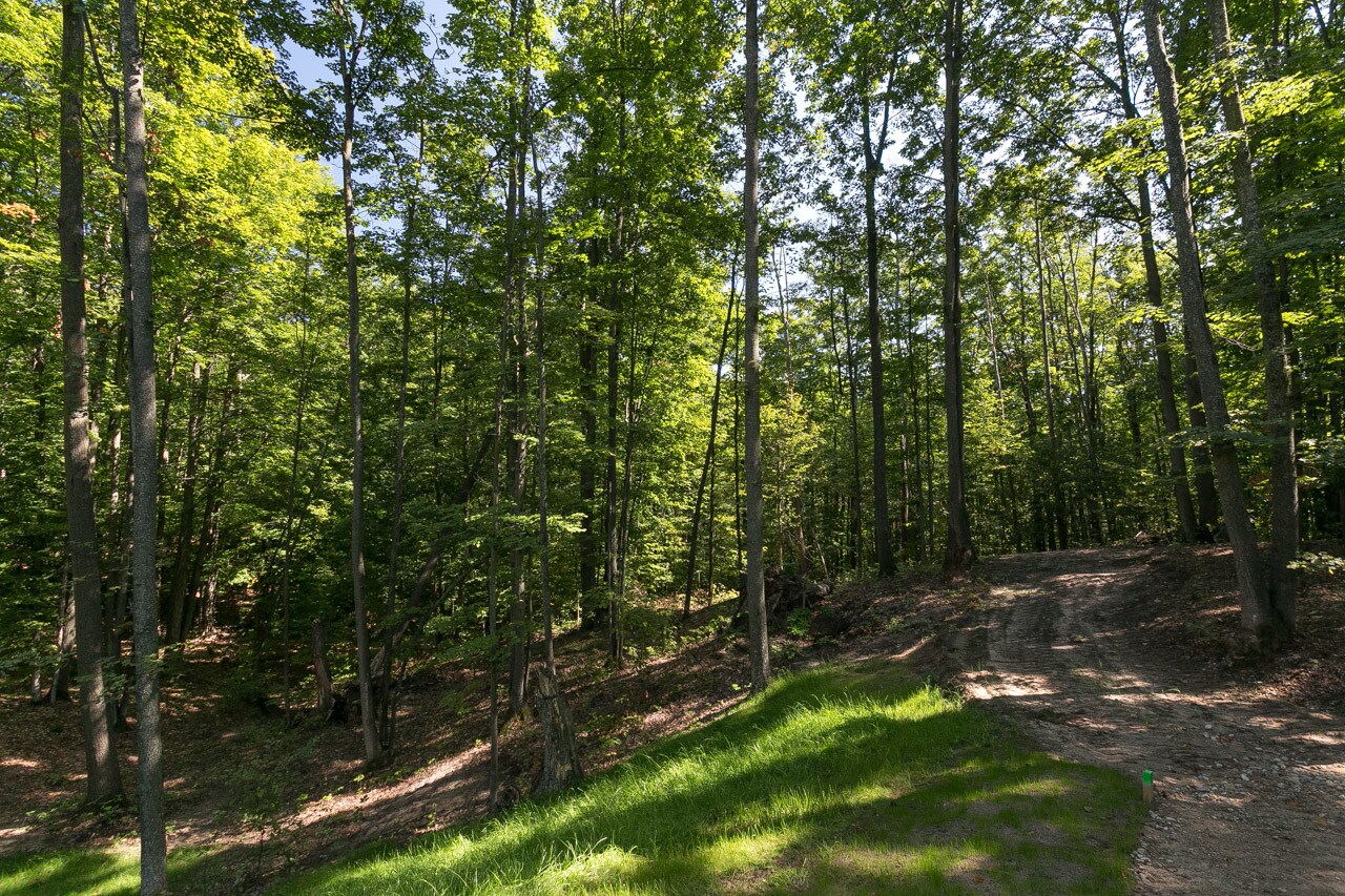 10065 S Endres Hill Ct, Traverse City, MI for sale Other- Image 1 of 1