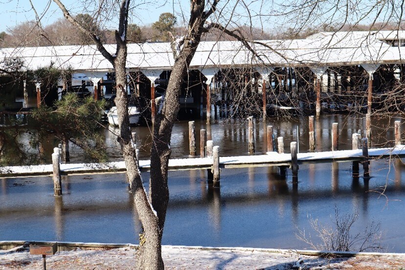 View Photo