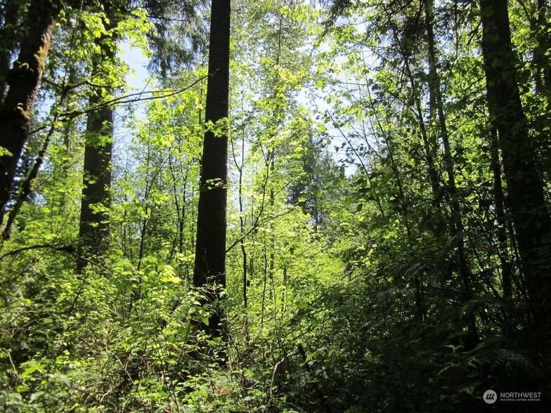 20633 SE 388th St, Auburn, WA for sale - Building Photo - Image 3 of 5