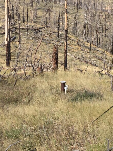 499 Helms Deep Rd, Bellvue, CO for sale - Other - Image 3 of 4