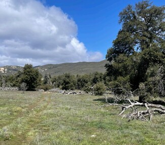 More details for Gutay Land, Descanso, CA - Land for Sale