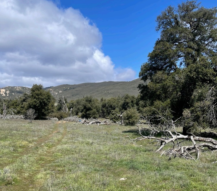 Guatay, Descanso, CA for sale Building Photo- Image 1 of 3