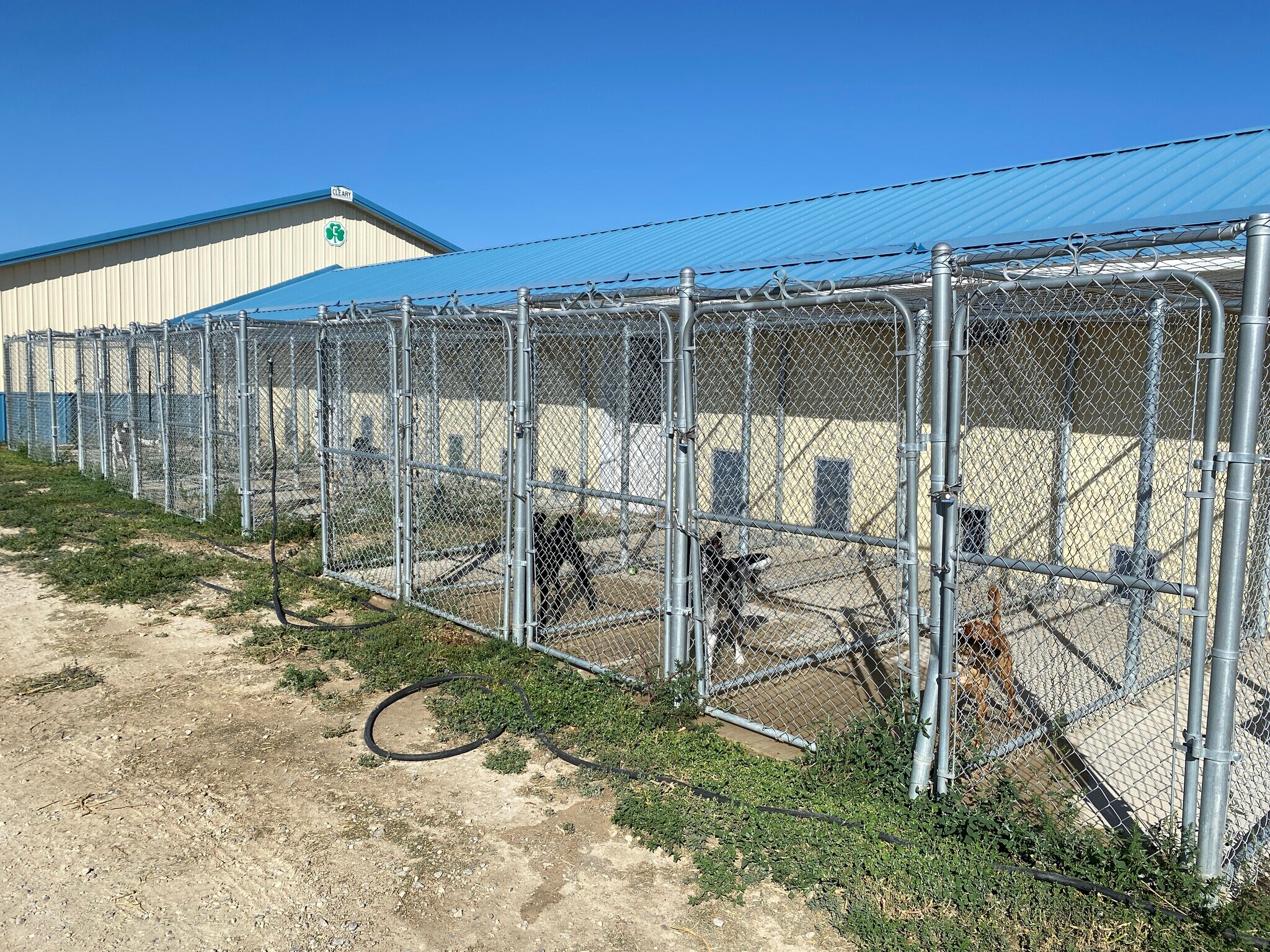 116 Chittim Rd, Lander, WY 82520 Smith Creek Pet Resort