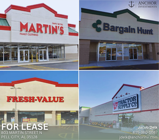 More details for 1015 Martin St S, Pell City, AL - Retail for Lease