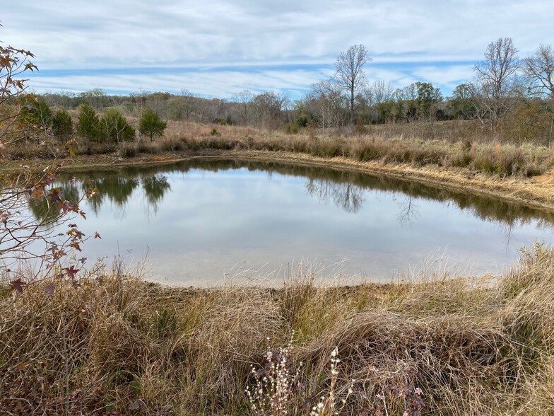 1486 Martin Road, Ware Shoals, SC for sale - Primary Photo - Image 1 of 10