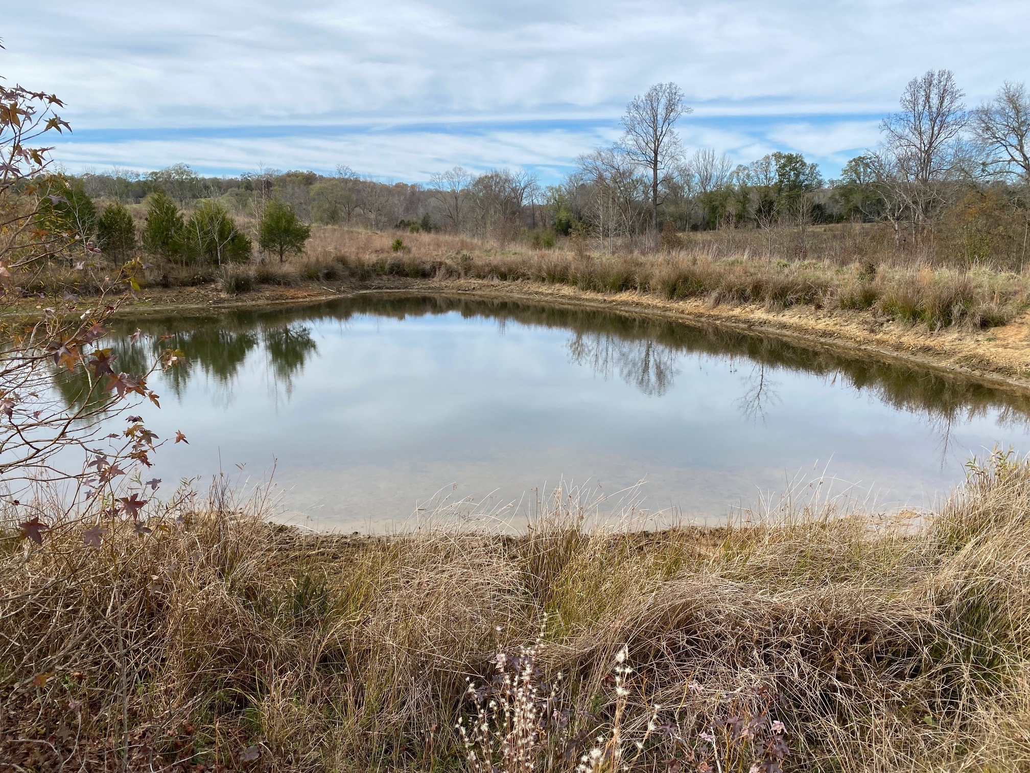 1486 Martin Road, Ware Shoals, SC for sale Primary Photo- Image 1 of 11