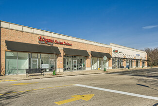 More details for 199-251 Brook Forest Ave, Shorewood, IL - Retail for Lease