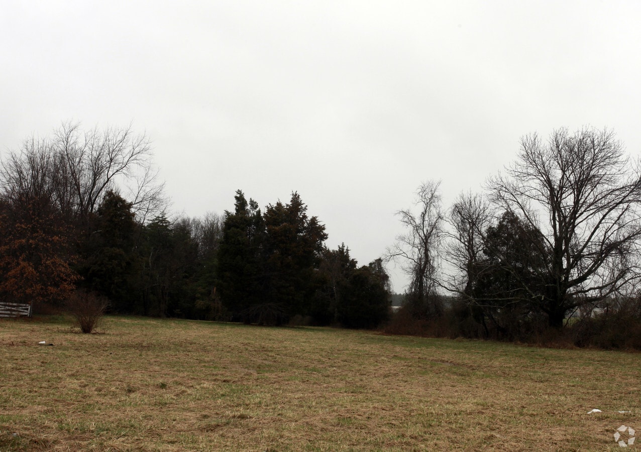 View Photo