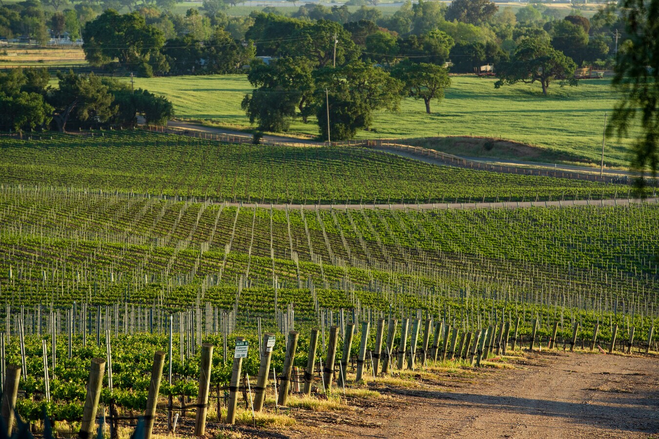 4490 Estelle Vineyard Dr, Santa Ynez, CA 93460