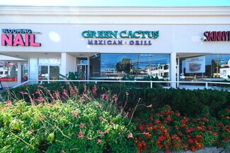 More details for 191-219 Mineola Ave, Roslyn Heights, NY - Retail for Lease