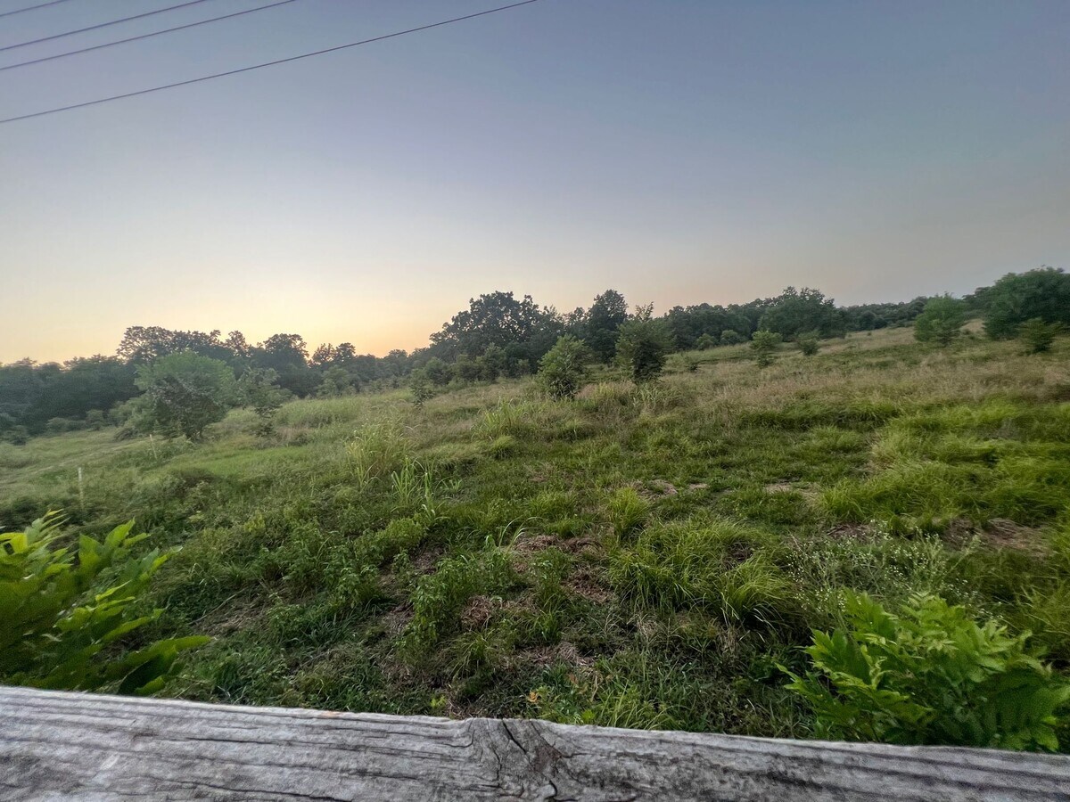 View Photo