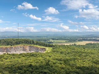 More details for 7665 Shelbyville Pike, Christiana, TN - Land for Sale