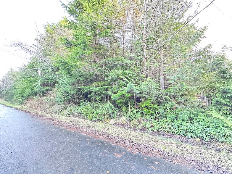 50 Rainbow, Pacific Beach, WA for sale - Primary Photo - Image 1 of 1