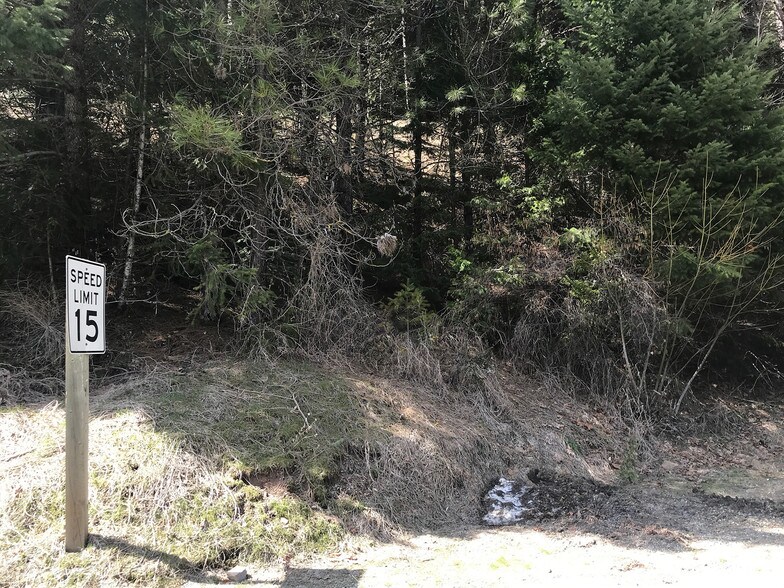 615 Main St, Downieville, CA 95936