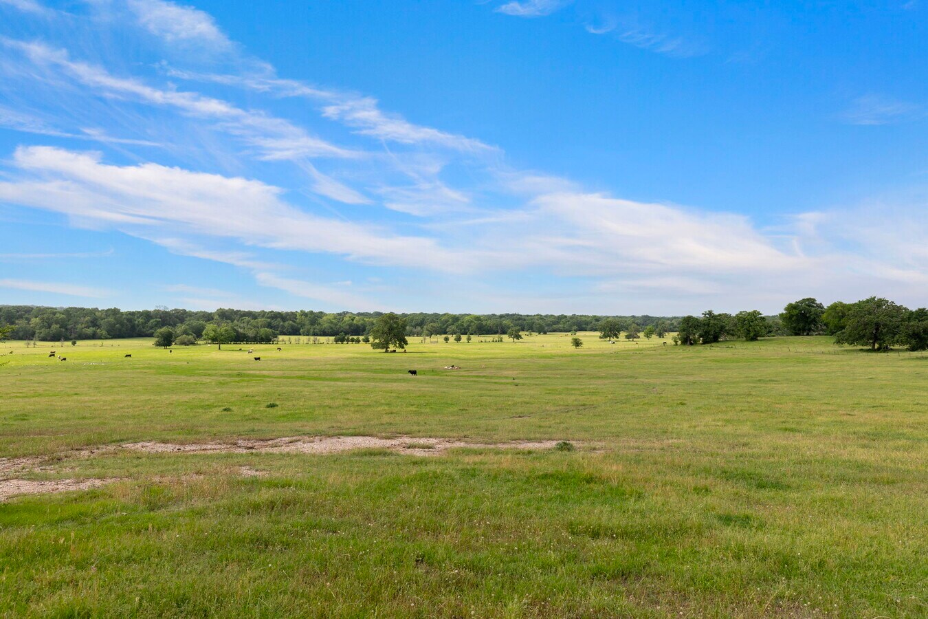 View Photo
