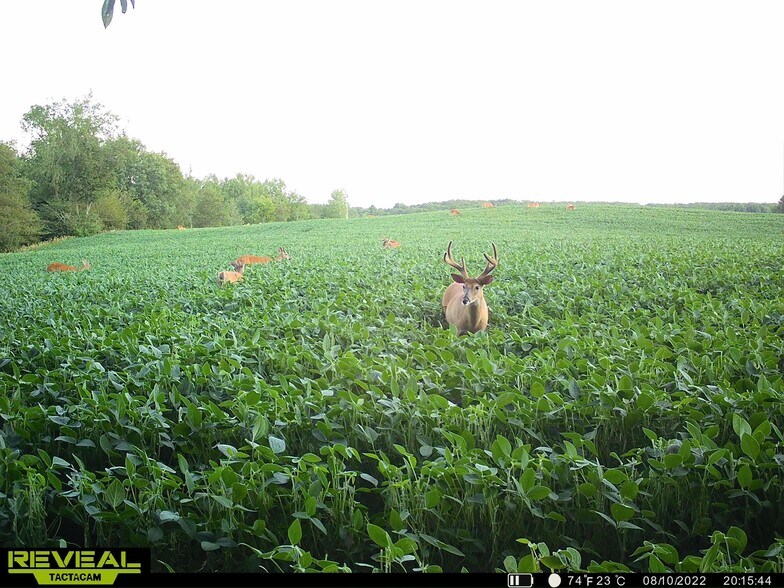 Fisher Road, Iola, WI for sale - Building Photo - Image 2 of 60