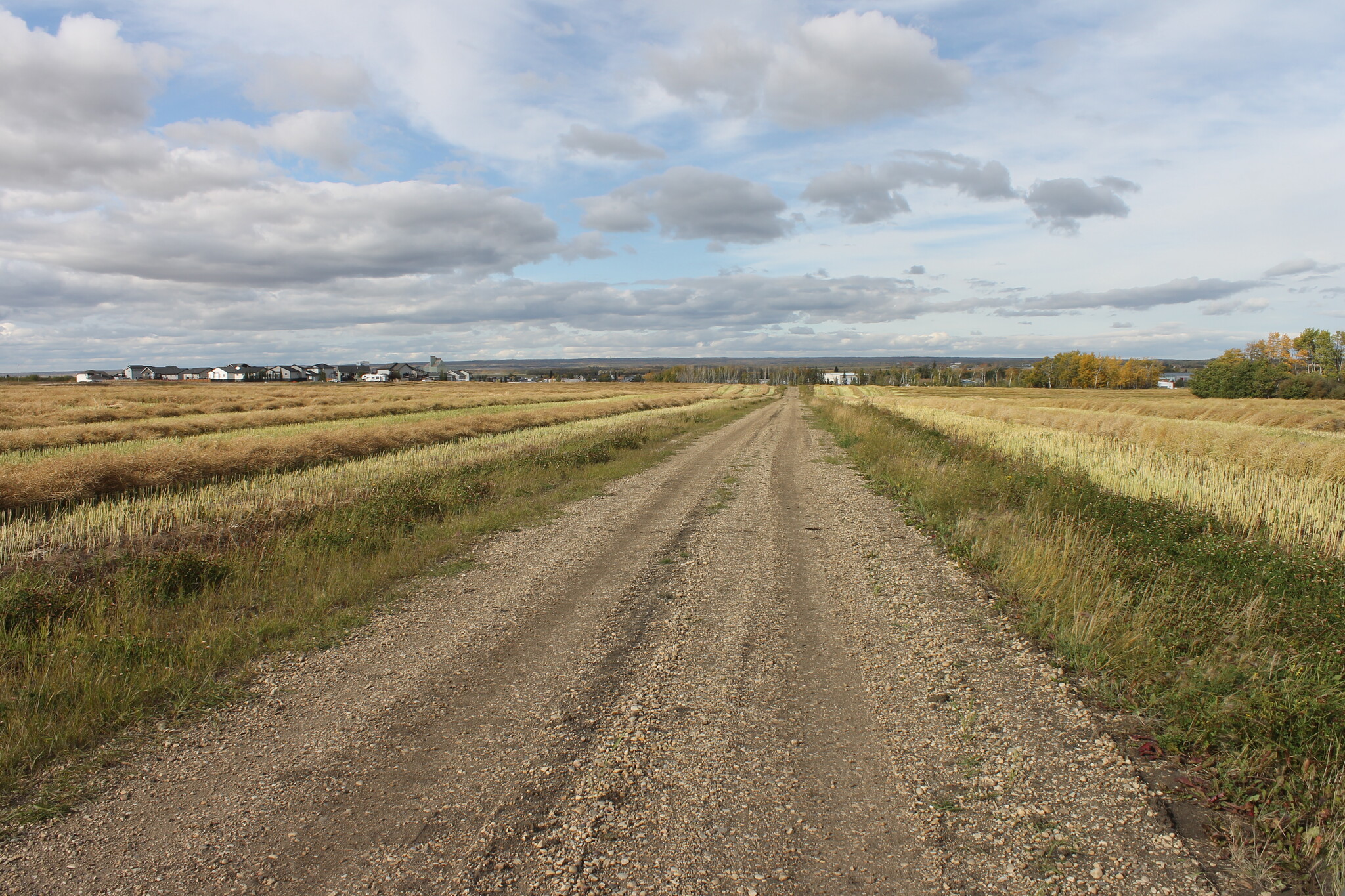 9300 101 Street, Sexsmith, AB for sale Primary Photo- Image 1 of 2