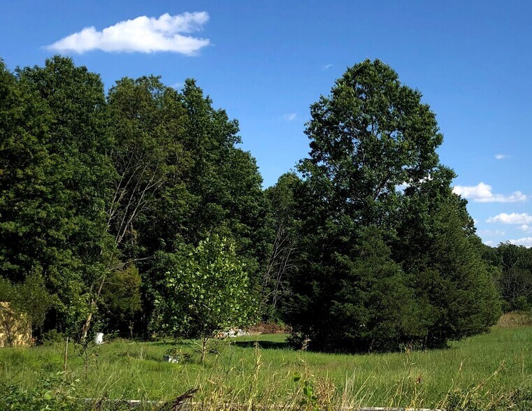 1721 James Madison Highway, Haymarket, VA for sale - Other - Image 1 of 1