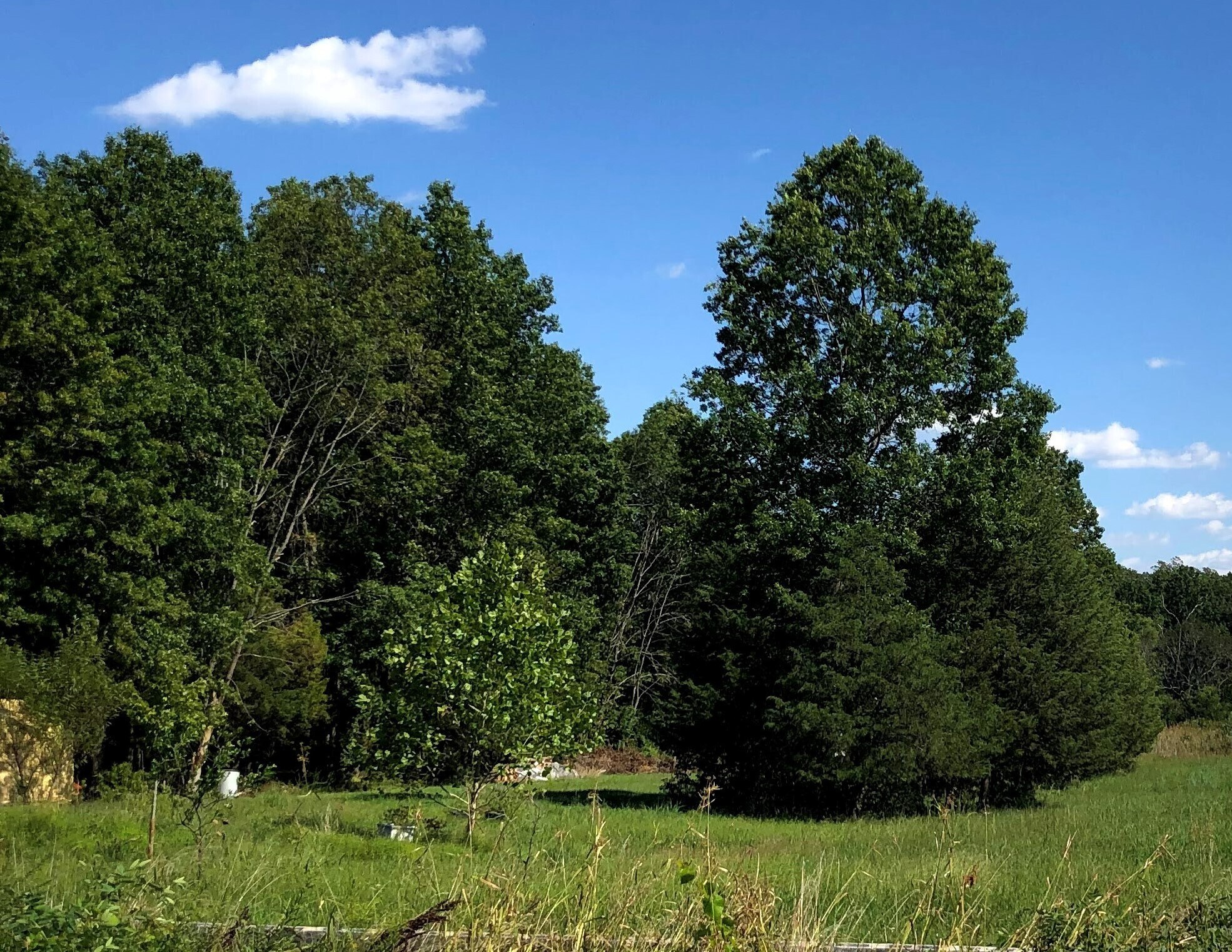 1721 James Madison Highway, Haymarket, VA for sale Other- Image 1 of 1