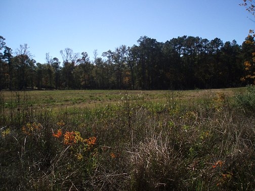 FM 1097, Willis, TX for sale - Primary Photo - Image 1 of 1