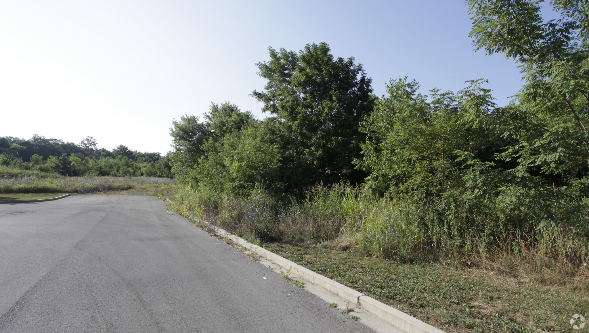 Highway 411/Bypass, Madisonville, TN for sale Primary Photo- Image 1 of 1