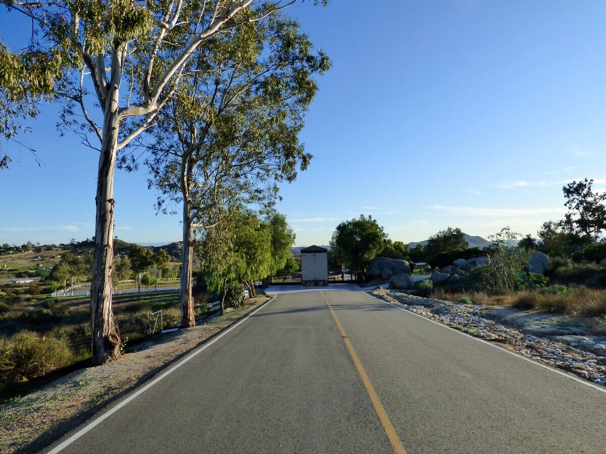View Photo