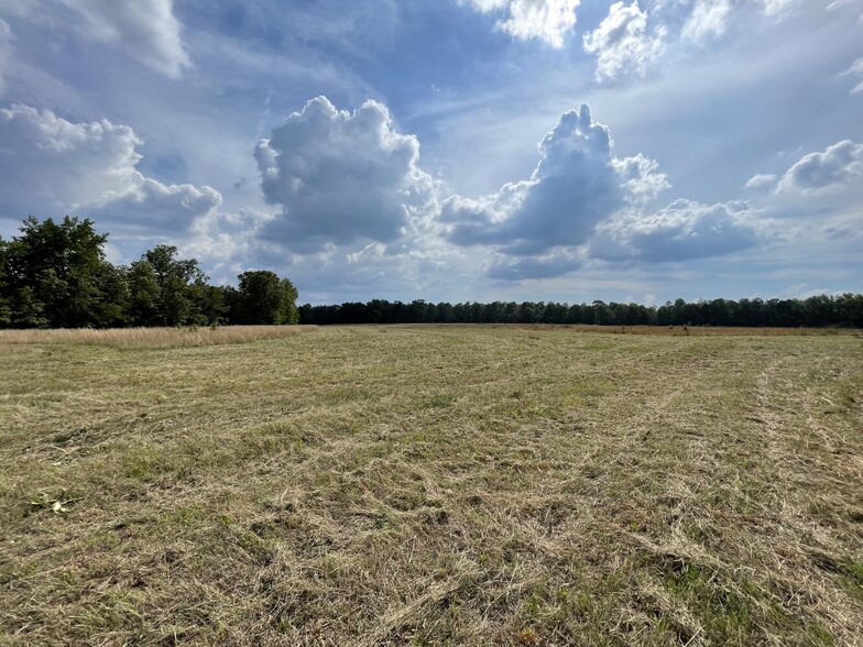 229 Colbert Bridge Road, Windsor, SC for sale - Primary Photo - Image 1 of 69