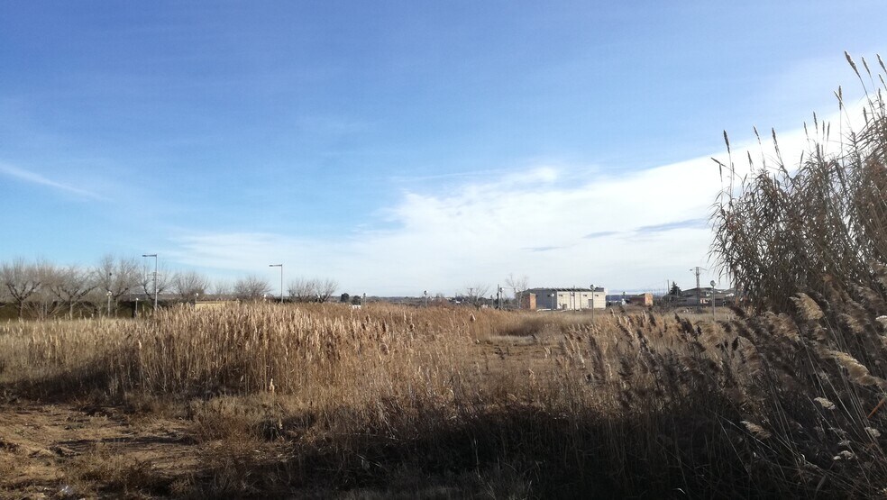 Land in Artesa de Lleida, Lérida for sale - Interior Photo - Image 2 of 14