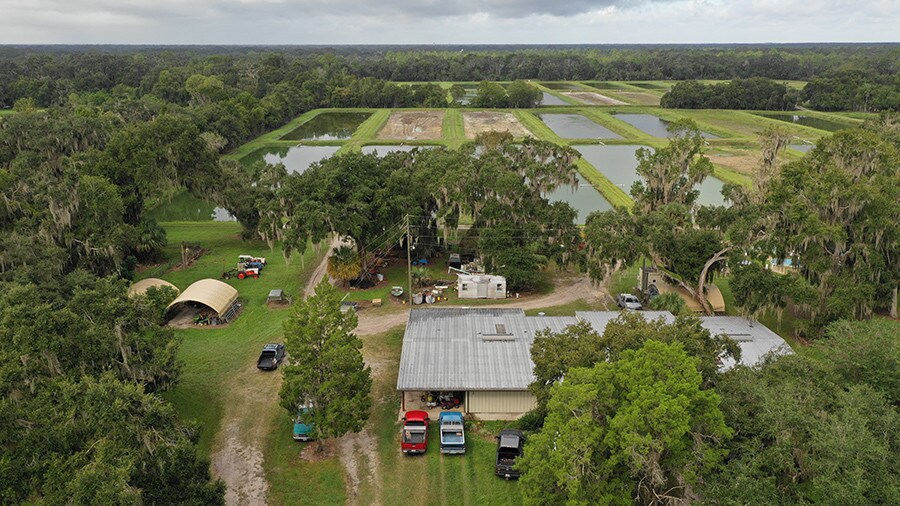 9684 CR 705, Center Hill, FL for sale - Aerial - Image 1 of 1