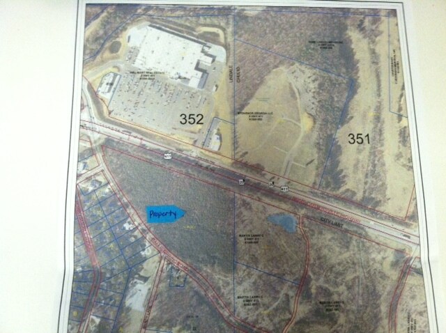 Corner of Hwy 411 & Callier Springs Rd SE, Rome, GA for sale - Primary Photo - Image 1 of 1