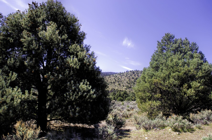 Tbd Highway 395, Gardnerville, NV for sale - Other - Image 1 of 1