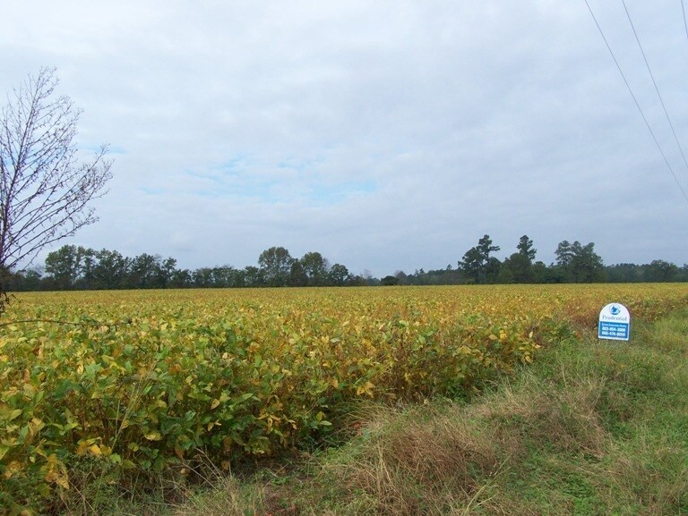 Old State Rd, Santee, SC for sale Primary Photo- Image 1 of 1