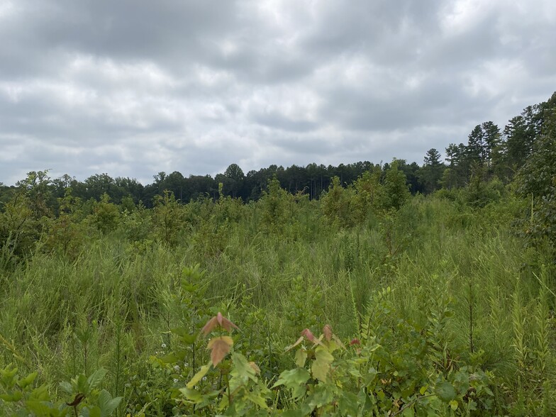 00 Stirewalt Rd & Trinity Church Rd, Kannapolis, NC for sale - Primary Photo - Image 2 of 6