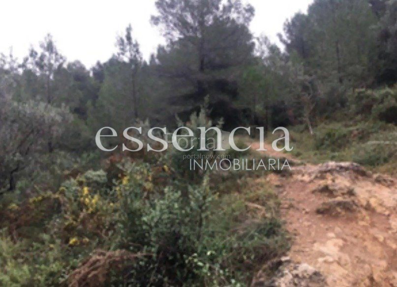 Land in Oliva, Valencia for sale - Building Photo - Image 3 of 6