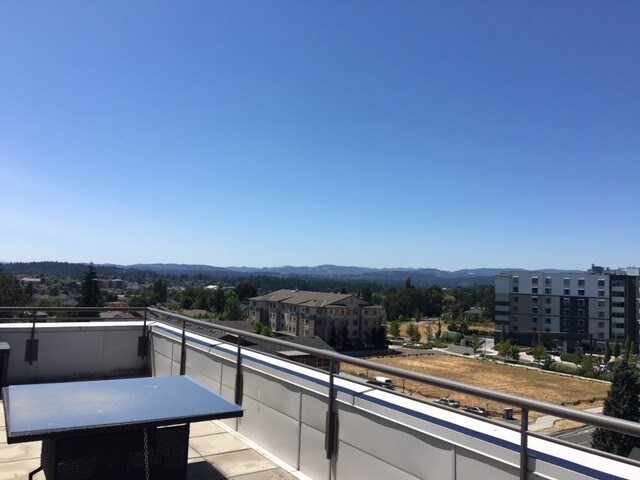 View Photo