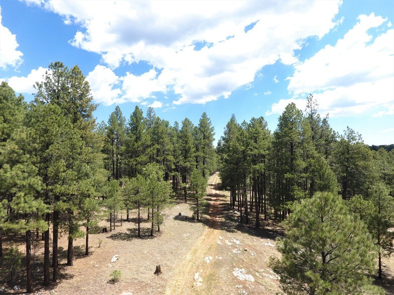 137A Forest Service Rd, Payson, AZ for sale - Building Photo - Image 1 of 1