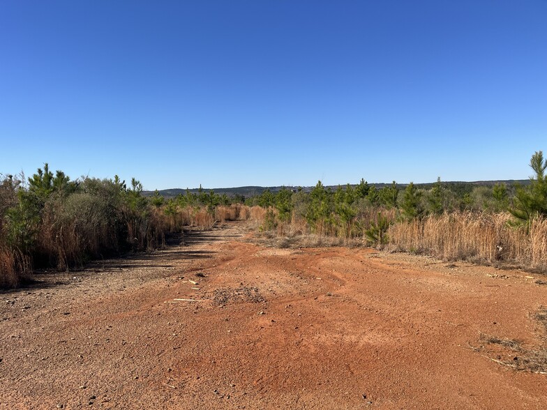 TBD NC 73 Hwy, Ellerbe, NC for sale - Primary Photo - Image 1 of 13