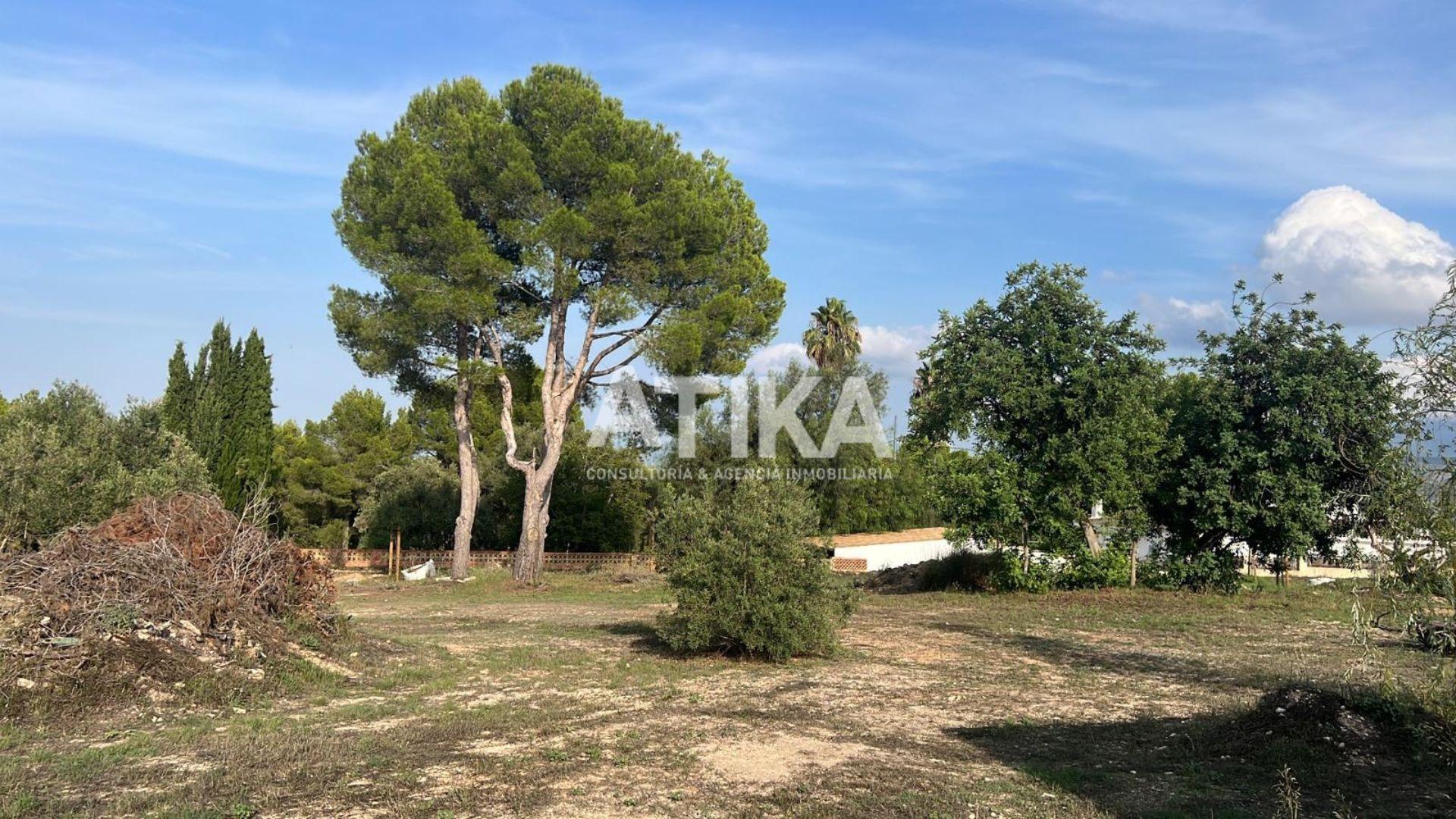 Land in Ontinyent for sale Building Photo- Image 1 of 13